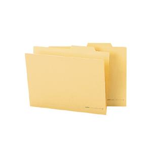 ライオン事務器 個別フォルダー エコノミータイプ A4 クリーム A4−IF2 1パック