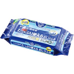 日本製紙クレシア　アクティ　トイレに流せるたっぷり使えるおしりふき　１パック（１００枚）｜tanomail