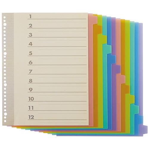 TANOSEE　インデックス（ＰＰ）　Ａ４タテ　２・４・３０穴　１２山１組　１パック