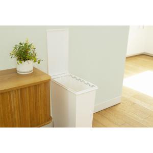 天馬 ホワイトラッシュ スマートペール 本体 ...の詳細画像2