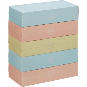 スバル紙販売 ティッシュペーパー Pastel ...の商品画像