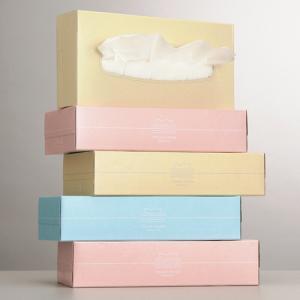 スバル紙販売 ティッシュペーパー Pastel...の詳細画像2