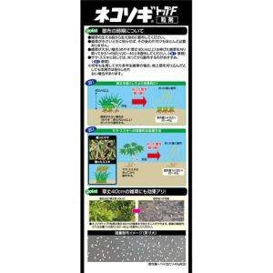 除草剤 粒剤 雑草対策 長期効果 レインボー薬...の詳細画像2