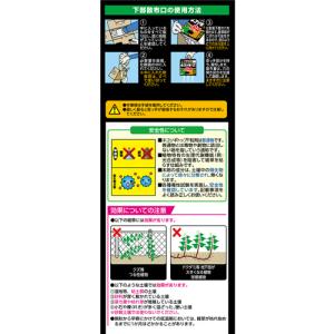 除草剤 粒剤 雑草対策 長期効果 レインボー薬...の詳細画像3