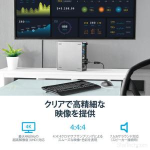 StarTech.com DisplayPor...の詳細画像4