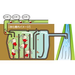 アズマ工業 バイオエース 液状 500ml 1本の詳細画像1