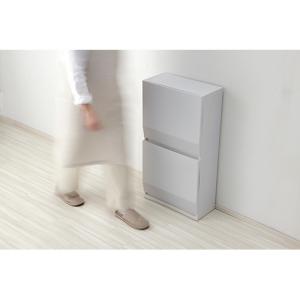 リス HOME&HOME 通路で使える分別ダス...の詳細画像4