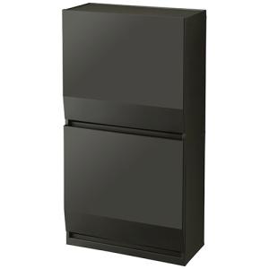 リス　ＨＯＭＥ＆ＨＯＭＥ　通路で使える分別ダストボックスワイド　２段　４５Ｌ　ダークグレー　ＧＰＲＢ０５９　１台