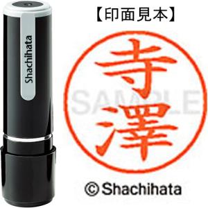 シヤチハタ（Shachihata） ネーム9 既製品 寺澤 XL−9 4058