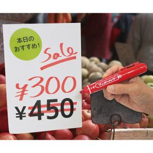 油性マーカー マッキーノック 太字 黒 P-Y...の詳細画像2