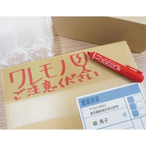 油性マーカー マッキーノック 太字 黒 P-Y...の詳細画像3