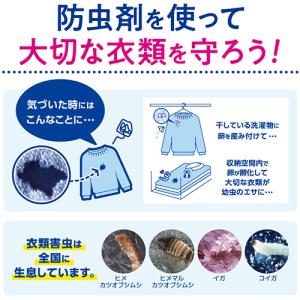 白元アース かおりパラゾール ノンカット 袋入...の詳細画像2