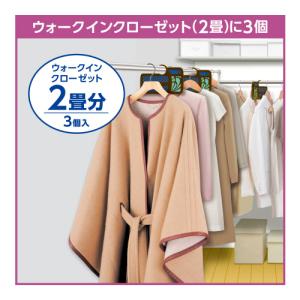 白元アース ミセスロイド 1年防虫 ウォークイ...の詳細画像4