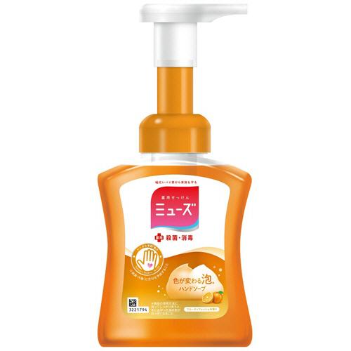 レキットベンキーザー・ジャパン　泡ミューズ　フルーティフレッシュ　本体　２５０ｍｌ