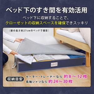 アストロ 活性炭 ベッド下収納ケース グレー×...の詳細画像3
