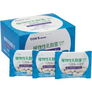 東洋ナッツ食品　ヨーグルトレーズン　１０ｇ／袋　１箱（３０袋）