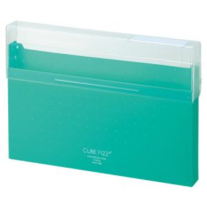 リヒトラブ CUBE FIZZ コングレスケース A4 グリーン A−6024−7
