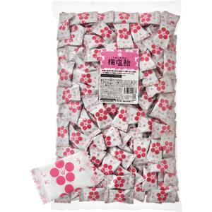 鈴木栄光堂 梅塩飴 1kg 1袋
