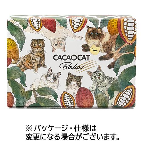 ダダカ　ＣＡＣＡＯＣＡＴ　Ｂａｋｅ　ｍｉｎｉ　ミックス　１箱（６個）
