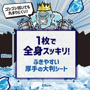 白元アース アイスノン ICE KING 極冷...の詳細画像2