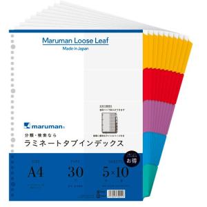 maruman（マルマン） ファイル26 メタルバインダー タブロック B5 26穴