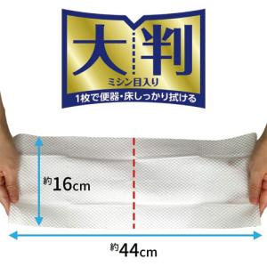 レック 激落ちくん 流せる除菌トイレクリーナー...の詳細画像1