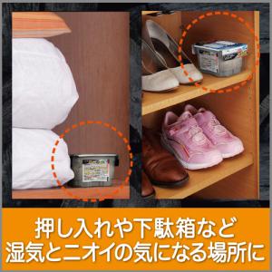 エステー 備長炭ドライペット 420mL 1パ...の詳細画像4