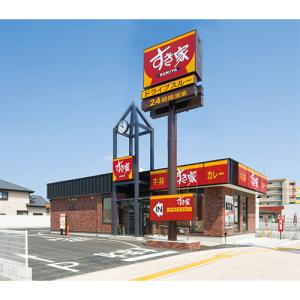 トロナジャパン すき家 牛丼の具10食 (13...の詳細画像4