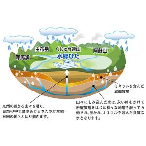 日田天領水 ラベルレス 2L ペットボトル 1...の詳細画像4
