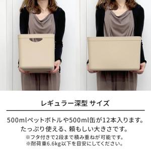 天馬 やわらか収納ケース レギュラー 深型 ホ...の詳細画像3