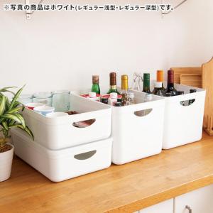 天馬 やわらか収納ケース レギュラー 深型 ホ...の詳細画像4