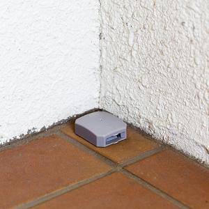 アース製薬 ブラックキャップ 屋外用 1パック...の詳細画像2