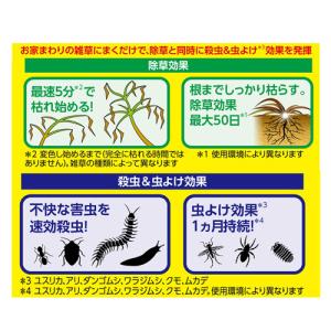 フマキラー 根まで枯らす虫よけ除草王プレミアム...の詳細画像1