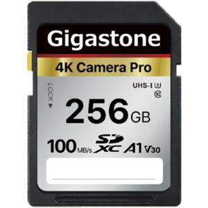 ギガストーン SDカード（容量：256GB）の商品一覧｜メモリーカード｜PC 