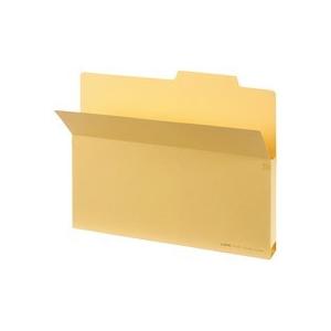 ライオン事務器 持出しフォルダー B5 クリーム B5−APF 1セット