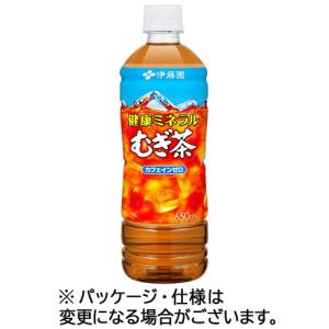 伊藤園　健康ミネラルむぎ茶　６５０ｍｌ　ペットボトル　１セット（４８本：２４本×２ケース）
