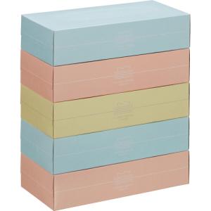 スバル紙販売　ティッシュペーパー　Ｐａｓｔｅｌ　１５０組／箱　１セット（６０箱：５箱×１２パック）｜tanomail