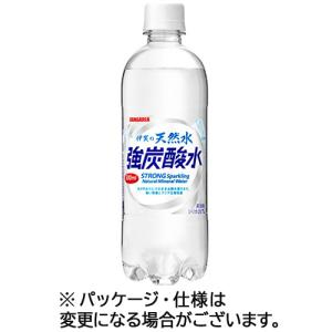 サンガリア 伊賀の天然水 強炭酸水 500ml ペットボトル...