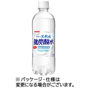 サンガリア　伊賀の天然水　強炭酸水　５００ｍｌ　ペットボトル　１ケース（２４本）｜ぱーそなるたのめーる