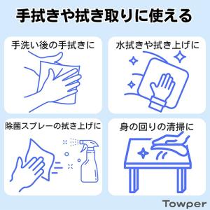 日本製紙クレシア ペーパータオル タウパービア...の詳細画像1