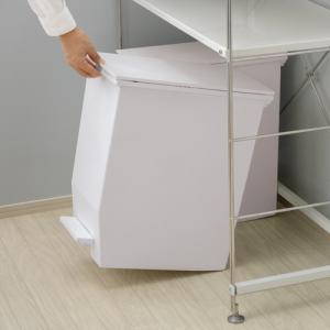 リス 棚下で使えるペダルダストボックス 45L...の詳細画像4