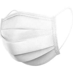 サカキL&Eワイズ 3層立体サージカルマスク(...の詳細画像1