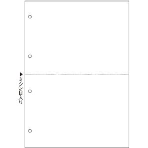 TANOSEE　マルチプリンタ帳票（スーパーエコノミー）　Ａ４　白紙　２面　４穴　１セット（２５００枚：１００枚×２５冊）｜ぱーそなるたのめーる