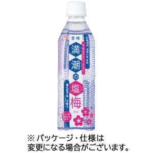 宮崎県農協果汁　サンＡ　満潮の塩梅　４９０ｍｌ　ペットボトル　１ケース（２４本）｜tanomail