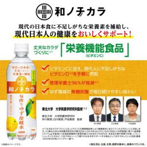 ダイドードリンコ 和ノチカラ 旬搾りゆず炭酸水...の詳細画像3