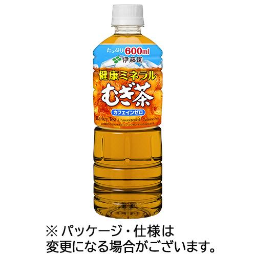 伊藤園　健康ミネラルむぎ茶　６００ｍｌ　ペットボトル　１セット（４８本：２４本×２ケース）