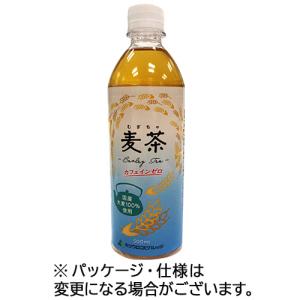 伊右衛門（サントリー） 【販路限定品】サントリー 伊右衛門カフェ