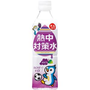 赤穂化成　熱中対策水　ぶどう味　５００ｍｌ　ペットボトル　１セット（４８本：２４本×２ケース）