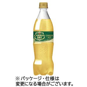 GINGER ALE（ジンジャーエール） カナダドライ 700ml (20本セット