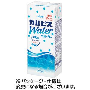 エルビー カルピスウォーター 250mL 紙パッ...の商品画像